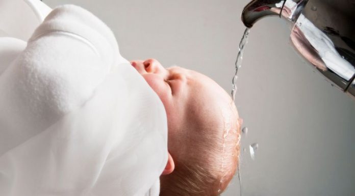Catholic I.Q. — Water and Spirit